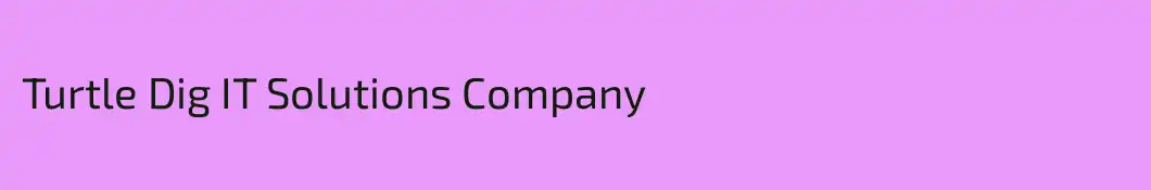 Turtle Dig IT Solutions Company 